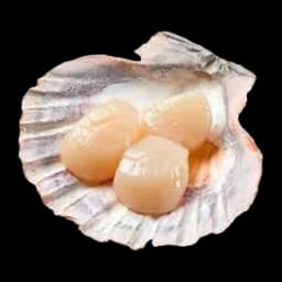 Jakobove Kapice