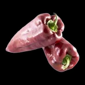 Paprika Crvena