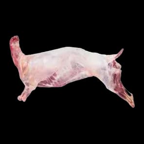 Jagnjeće Meso Bez Glave I Iznutrica