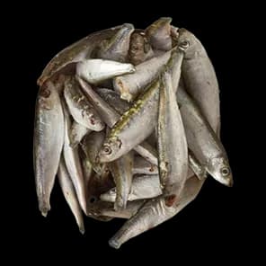 Papalina Ribella Cca 1kg