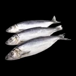 Dimnjena Haringa 1kg Karagounis 1+1 Gratis