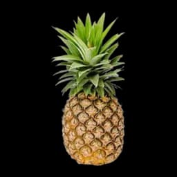 Ananas
