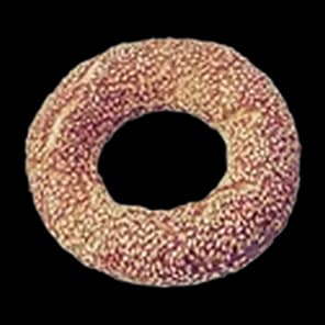 Djevrek Razani kuvani Ohridski 90g