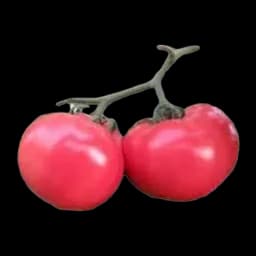 Paradajz pink, rinfuz 1kg