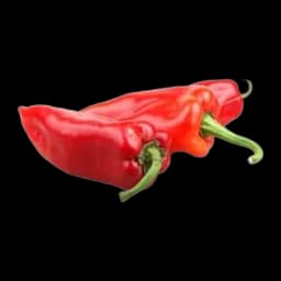Paprika Crvena Kraguj