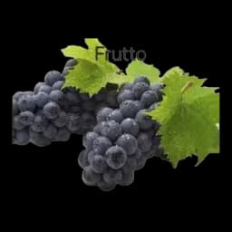 Grožđe Crno Besemeno Grčka