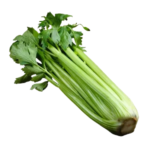 Celer rebraš, 500g 500g