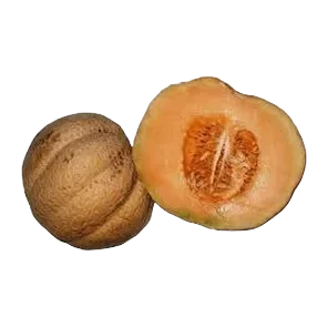 Dinja Stara Šifra Sniženo