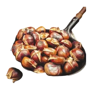 Kesten Sniženo