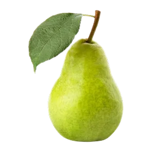 Kruška