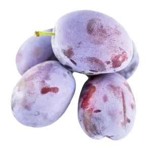 Šljiva Korpica Sniženo