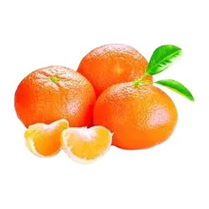Klementina