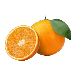Mandora Sniženo-v