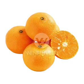 Mandarina Murcott
