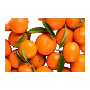 Mandarina T