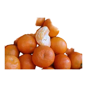 Mandarina Nova
