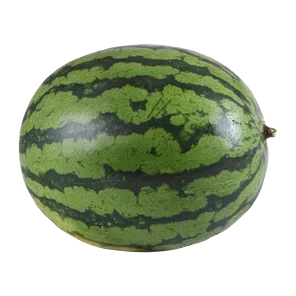 Lubenica Mini V Sniženo