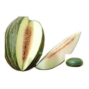 Dinja Piel De Sapo