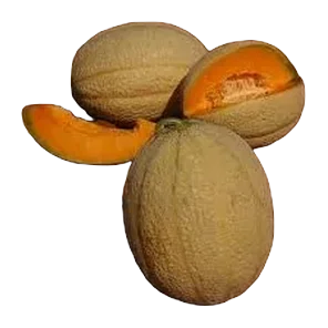 Dinja Lilo Sniženo V