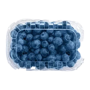Borovnica 125g Umk Sniženo
