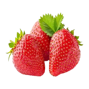 Jagode Voždove 500g