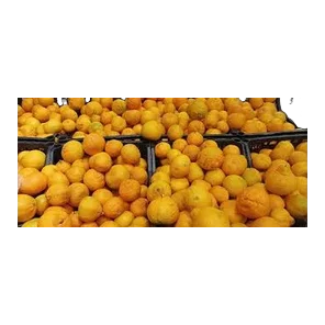 Mandarina Extra
