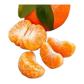 Mandarina Sniženo