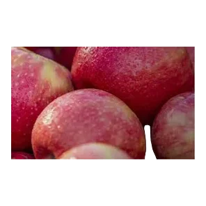 Jabuka Isaq 250g Delta Agrar