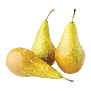 Kruška Konferens