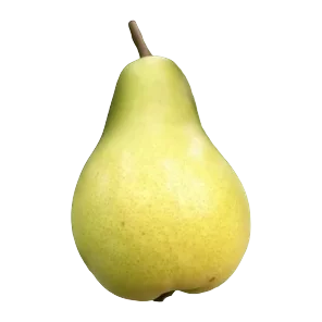 Kruška Pachams Sniženo