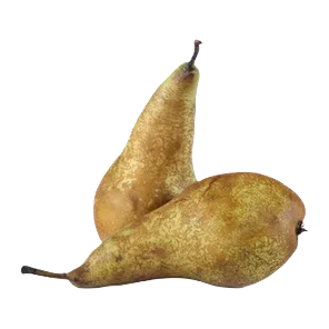 Kruška Konferens Sniženo
