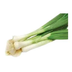 Luk Mladi Veza Sniženo