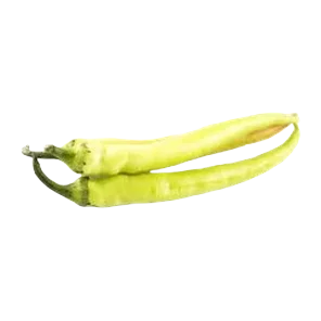Paprika Ljuta V