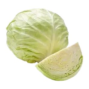 Kupus