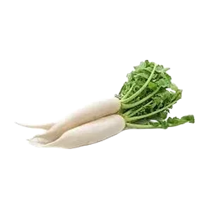 Rotkva Dajkon
