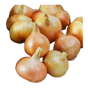 Luk Crni Stara Šifra