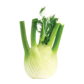 Komorač