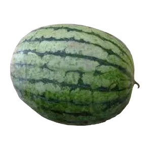 Lubenica Sweet Pepita