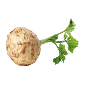 Celer Koren Enna Fruit
