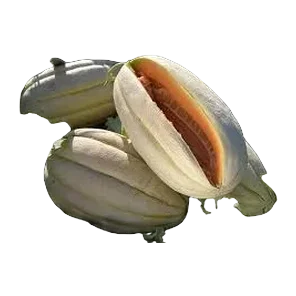 Dinja Stara Šifra