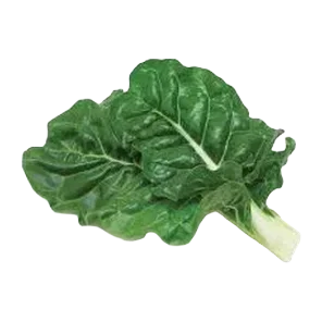 Blitva veza domaca