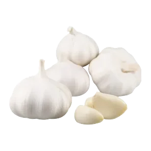 Luk beli veza domaci