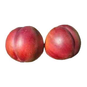 Nektarina Sniženo