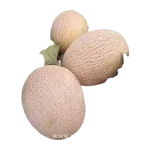 Dinja Galia