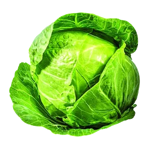 Kupus Mladi Jug Sniženo