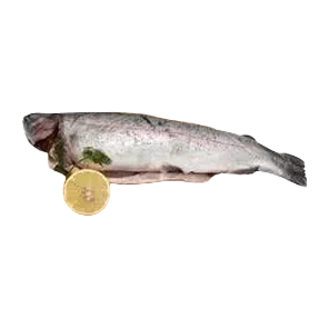 Pastrmka Cela Na Ledu Bio Fish Mm