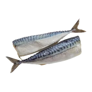 Skuša Cela Na Ledu Bio Fish