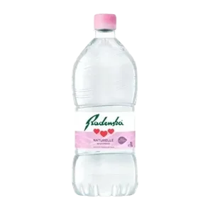 Voda Negazirana Radenska 1l