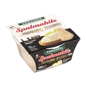 Namaz Od Parmigiano Reggiano Sira 100g Tomasoni