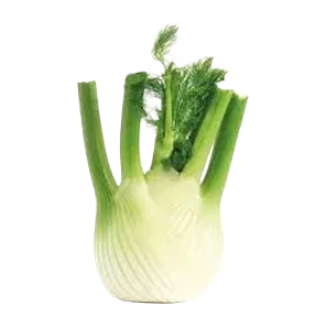Komorac komad